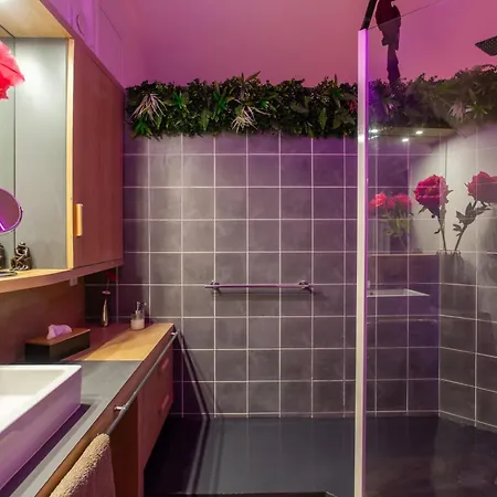 Romantique 45m2-amiens Centre-spa & Parking * Amiens